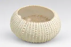 Vase rond en céramique blanche avec texture en relief.